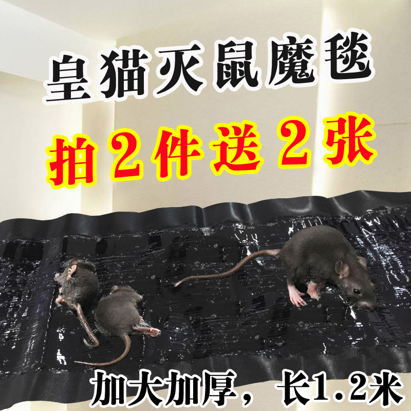 老鼠贴强力粘鼠板灭鼠神器捕鼠魔毯yao颗粒老鼠胶家用药捕鼠器